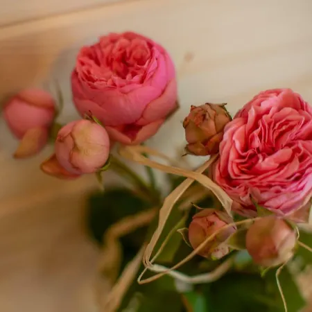 Lassakowka Privatunterkunft Zakopane