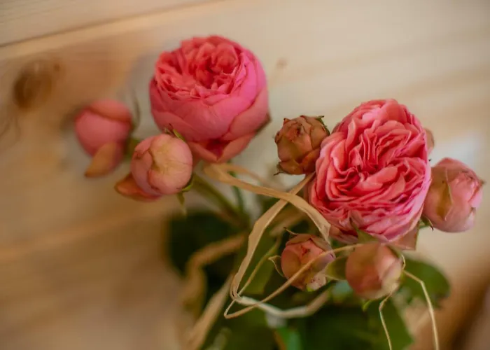 Lassakowka Privatunterkunft Zakopane