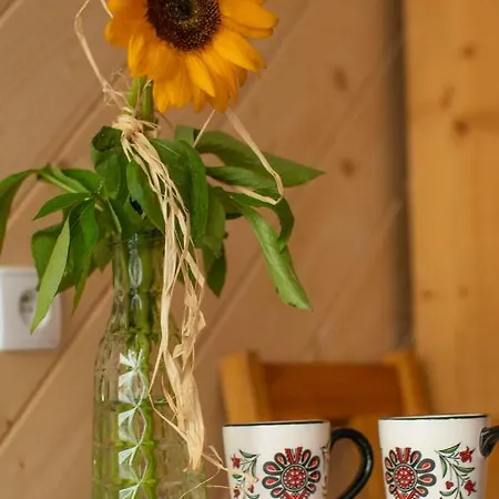 Privat bolig Lassakowka Zakopane