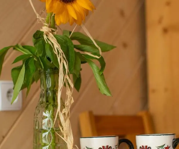 منزل للإقامة Lassakowka زاكوباني